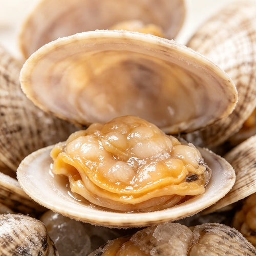 Raw clams on crushed ice with one shell open to show the meat