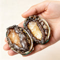 Hand holding two raw whole abalone